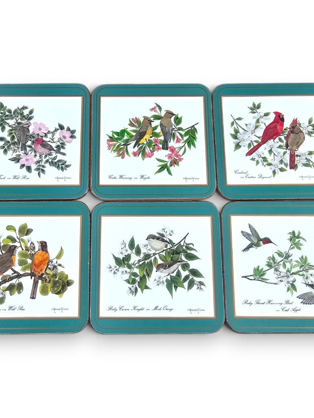 Pimpernel Coasters Set of 6 Birds Cork Back Green Richard G Lowe Made in England